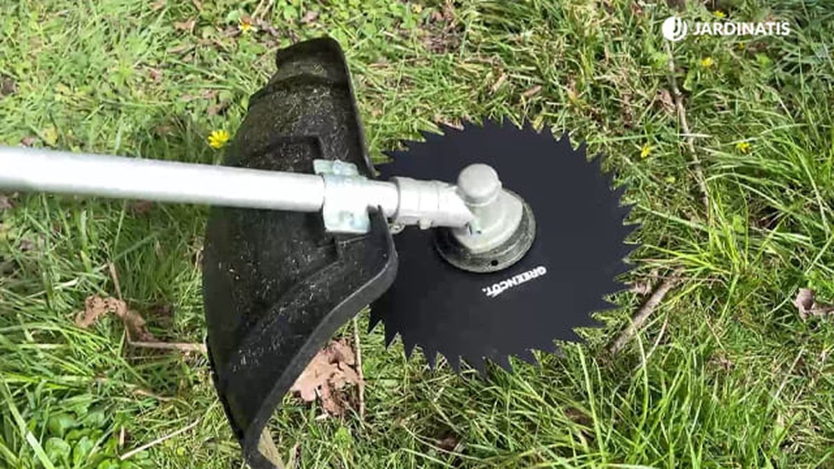 tipos discos desbrozadora gasolina 5