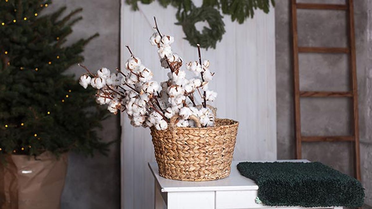 decorar flores preservadas algodon