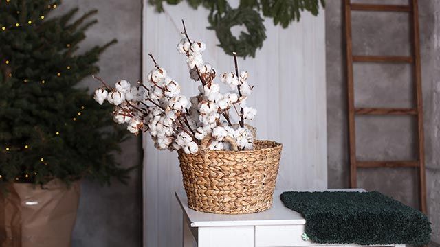 decorar flores preservadas algodon