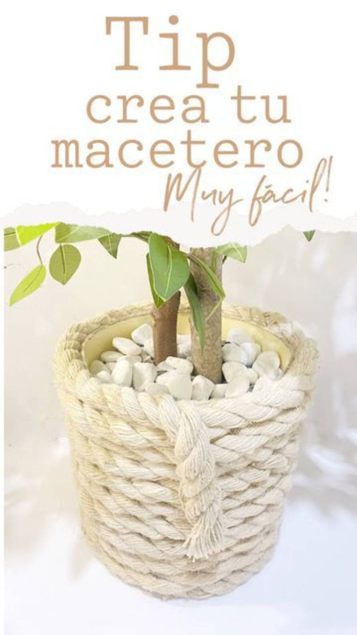 Maceta decorada con cuerda de esparto gorda.