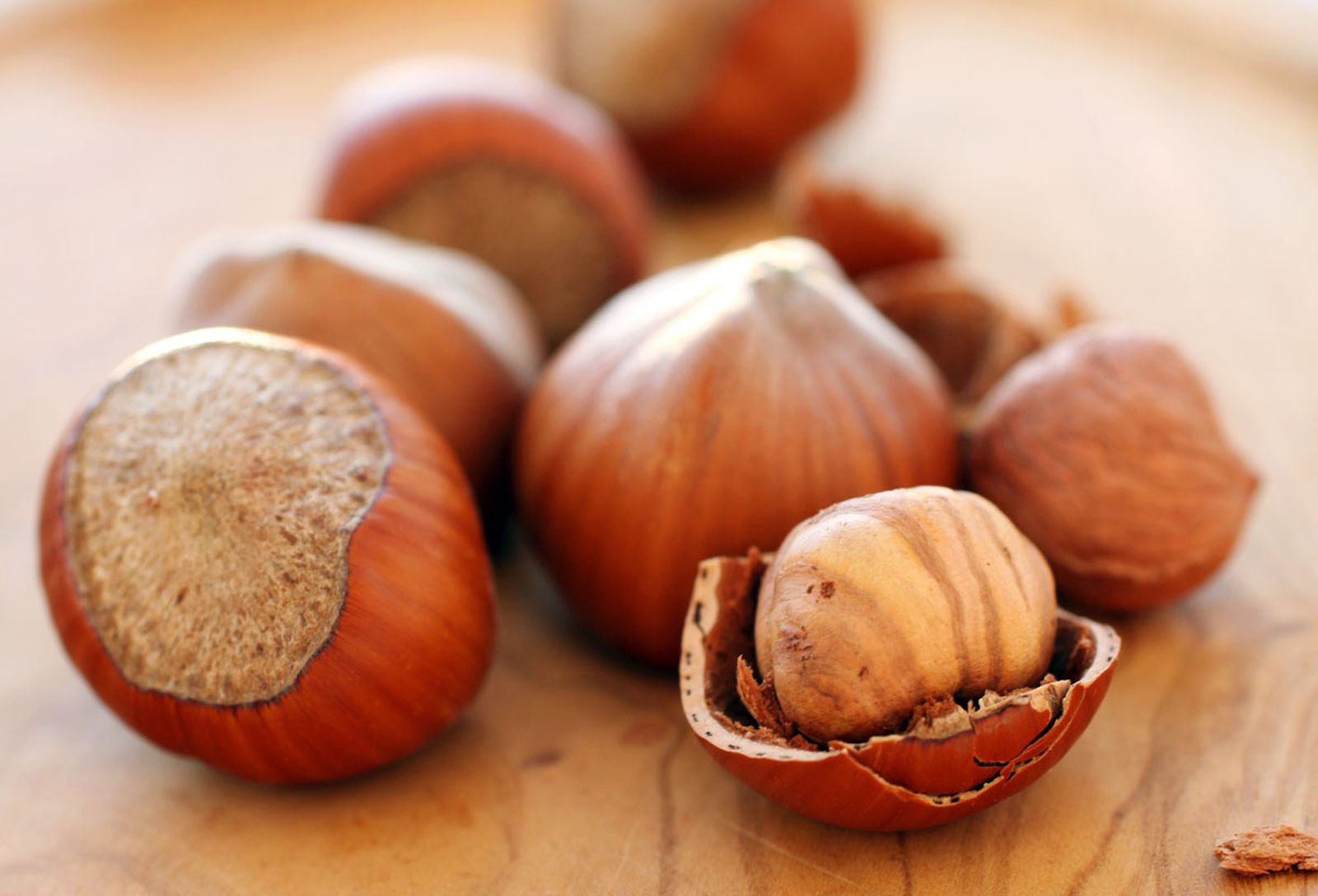 avellana fruto seco 1 xl