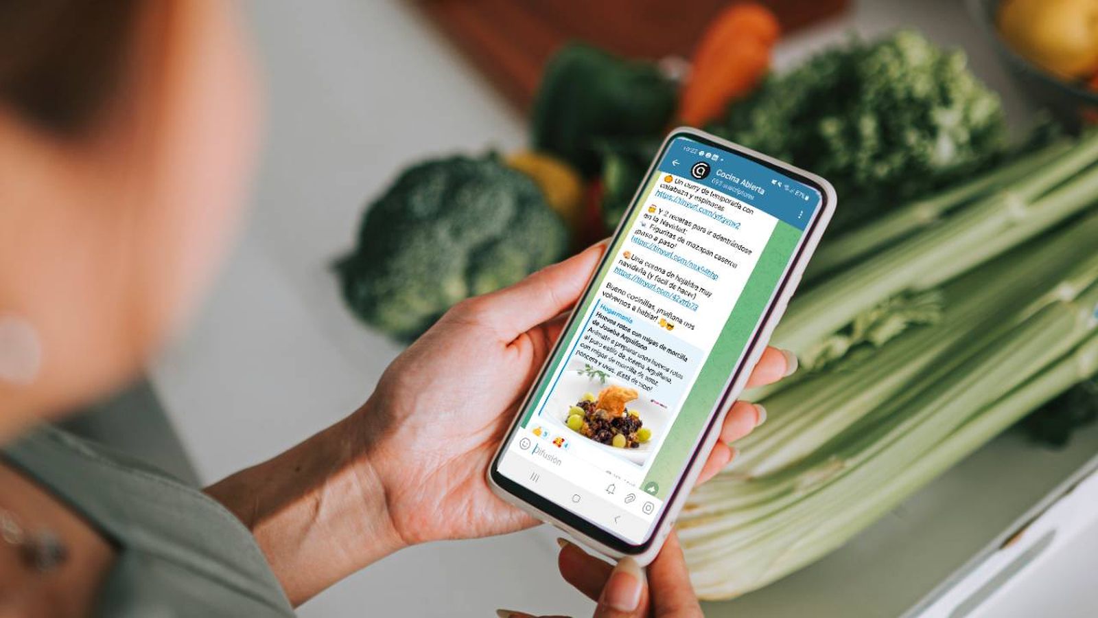 nuevo canal telegram cocina abierta