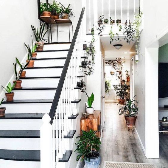 subida escalera decorada plantas 5