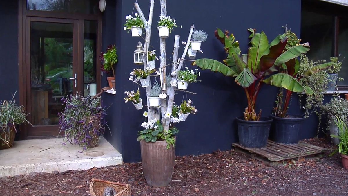 BRICO_JARDIN_851_Arbol navideño con troncos de abedul xl