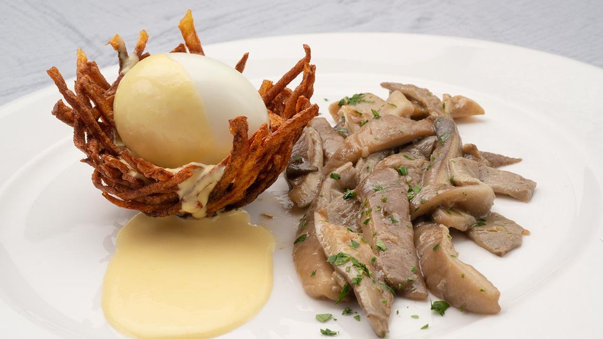 karl6552 nidos patata xl