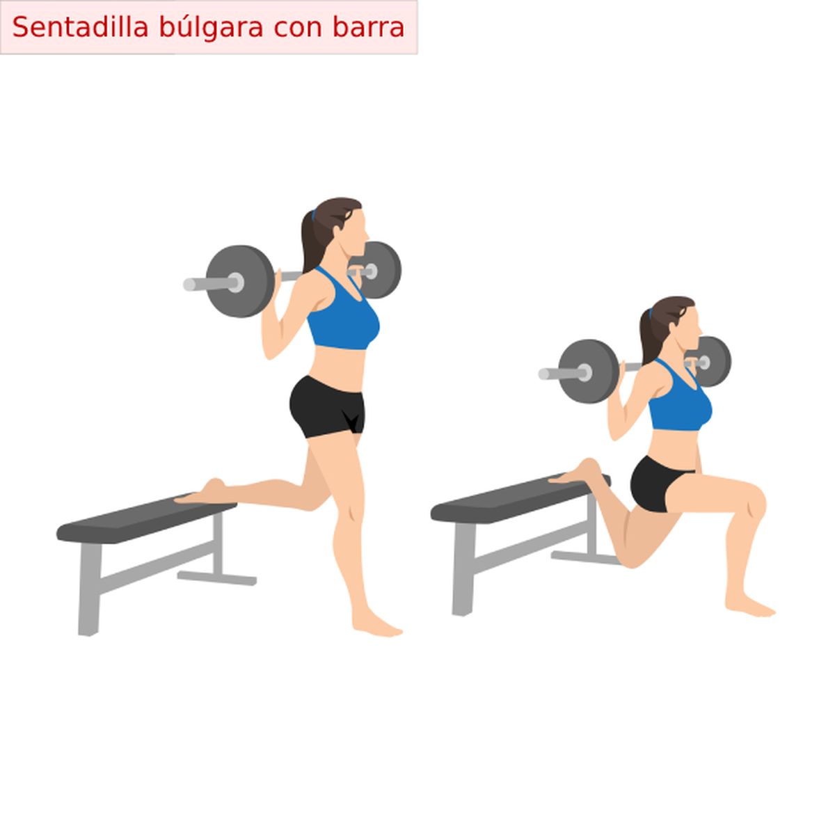 5 ejercicios para fortalecer gluteos con peso sentadilla bulgara barra