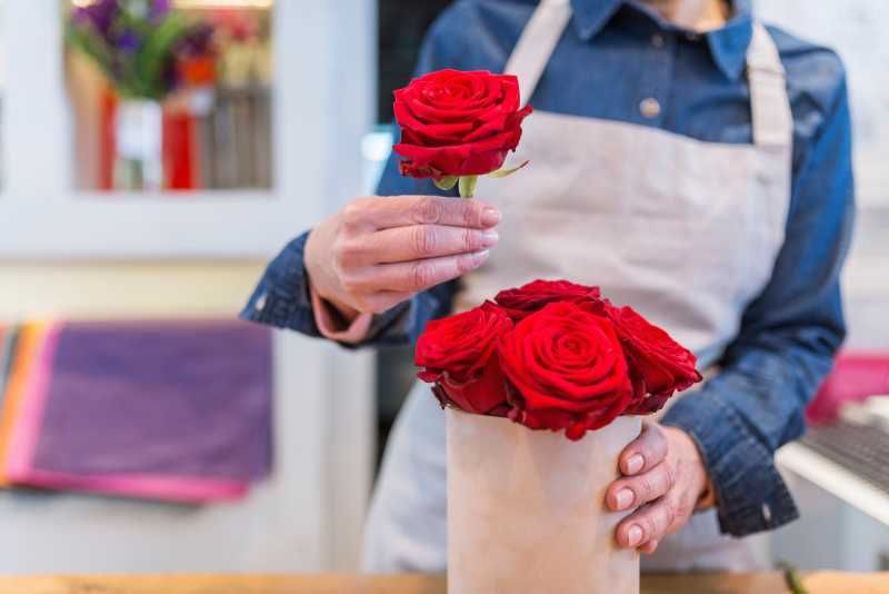 Rosas en plena floración.