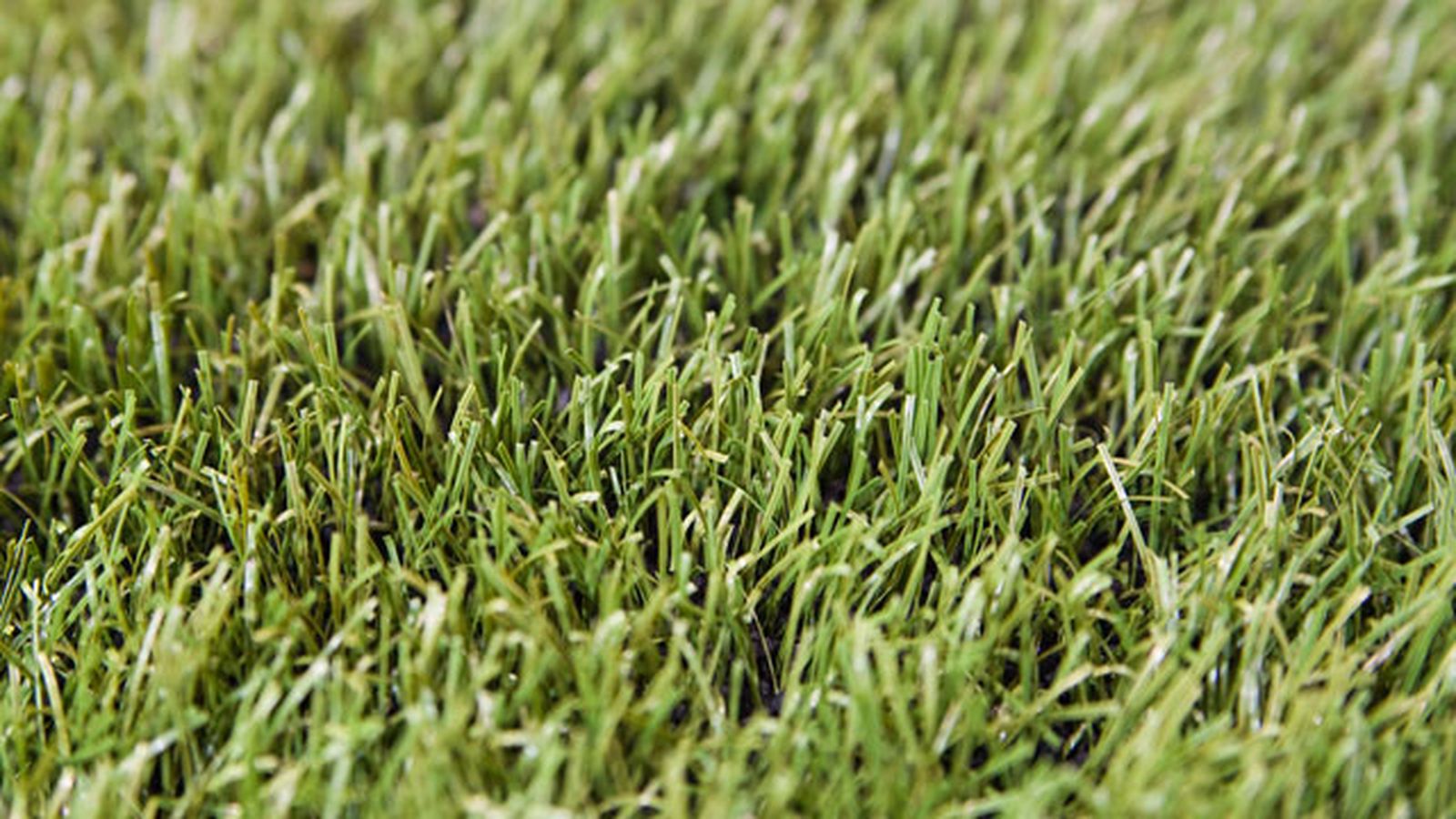 cesped artificial2 v