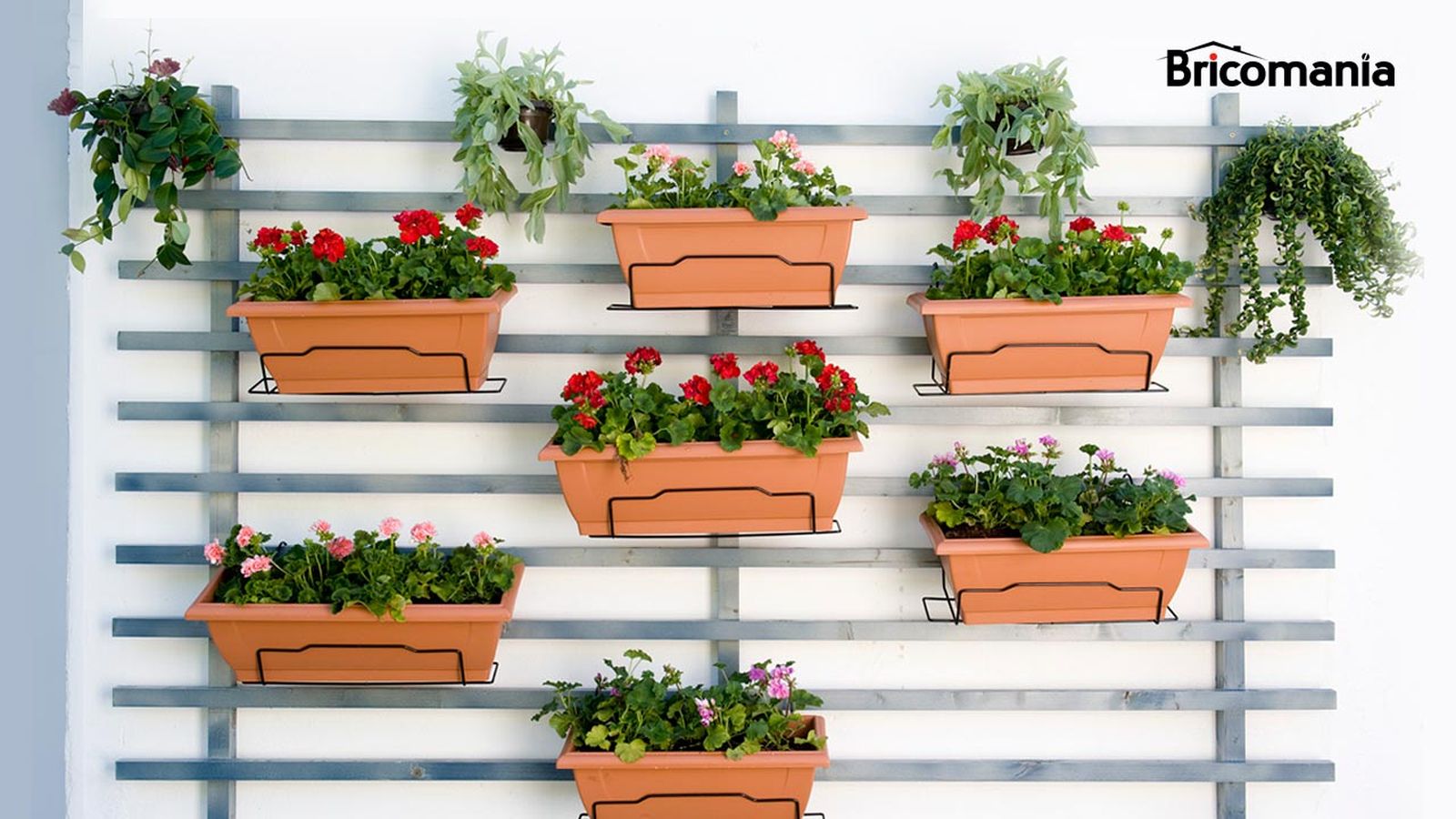 brico 0645 jardin vertical xl