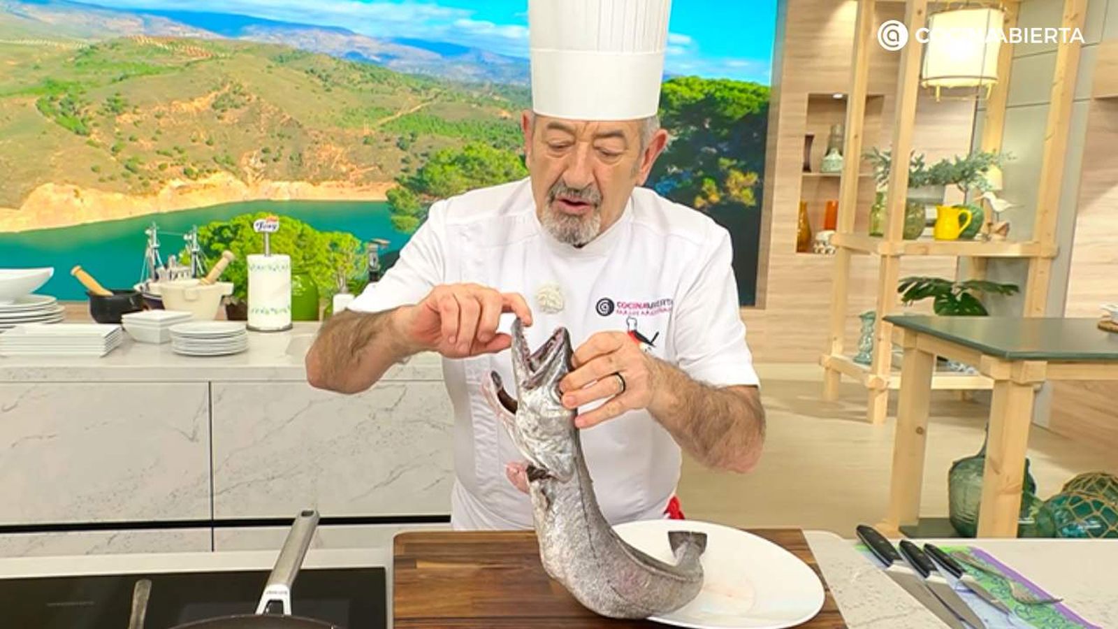 Aprende las diferencias entre pescadilla y merluza