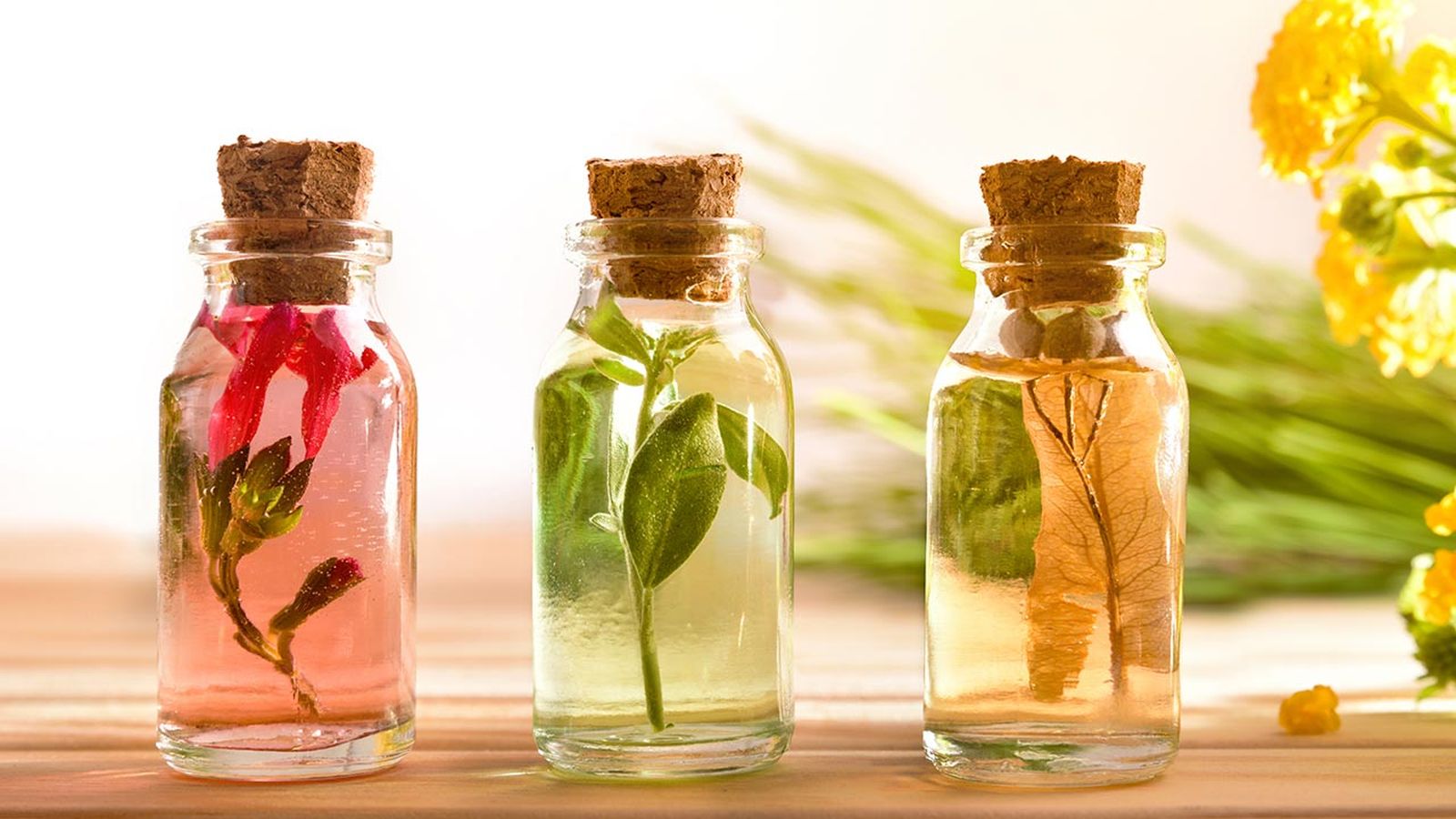 belleza perfumes naturales con aceites esenciales