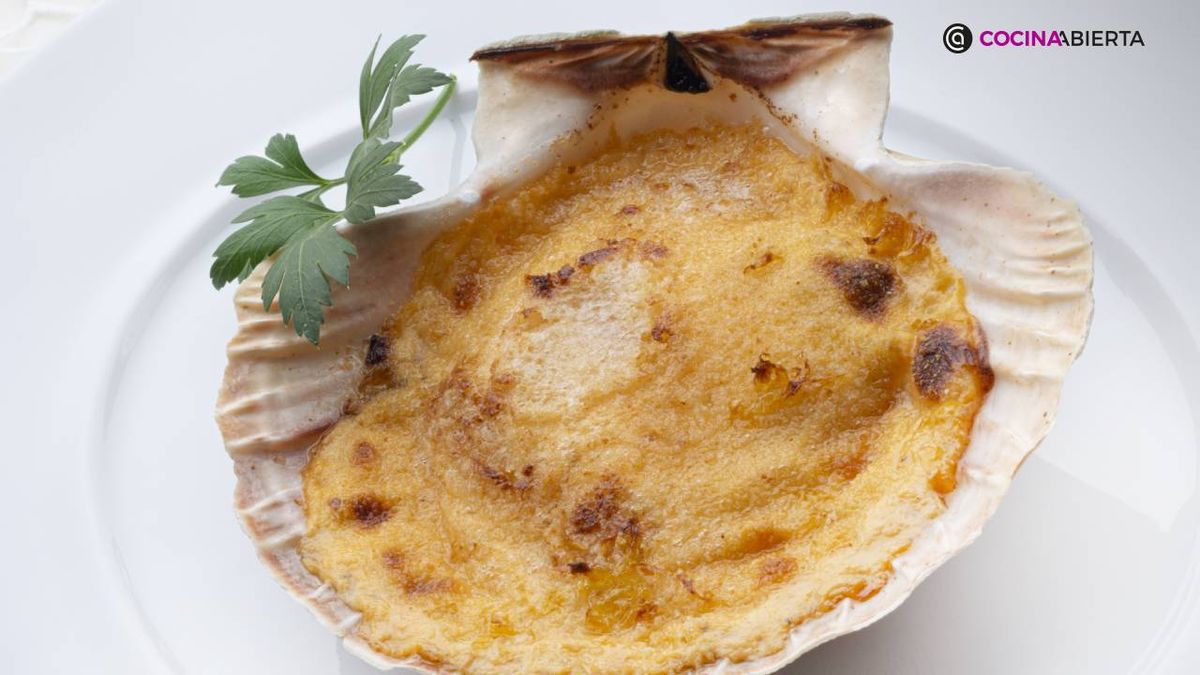 karl7161 vieiras gratinadas xl