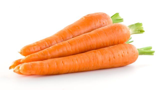que verduras pueden comer los perros zanahoria