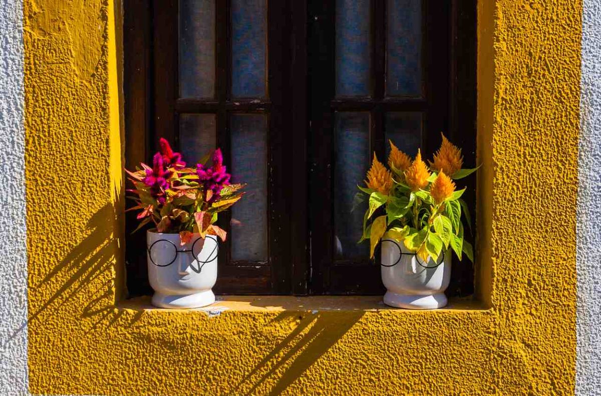 Hay muchas macetas preciosas entre las que escoger.