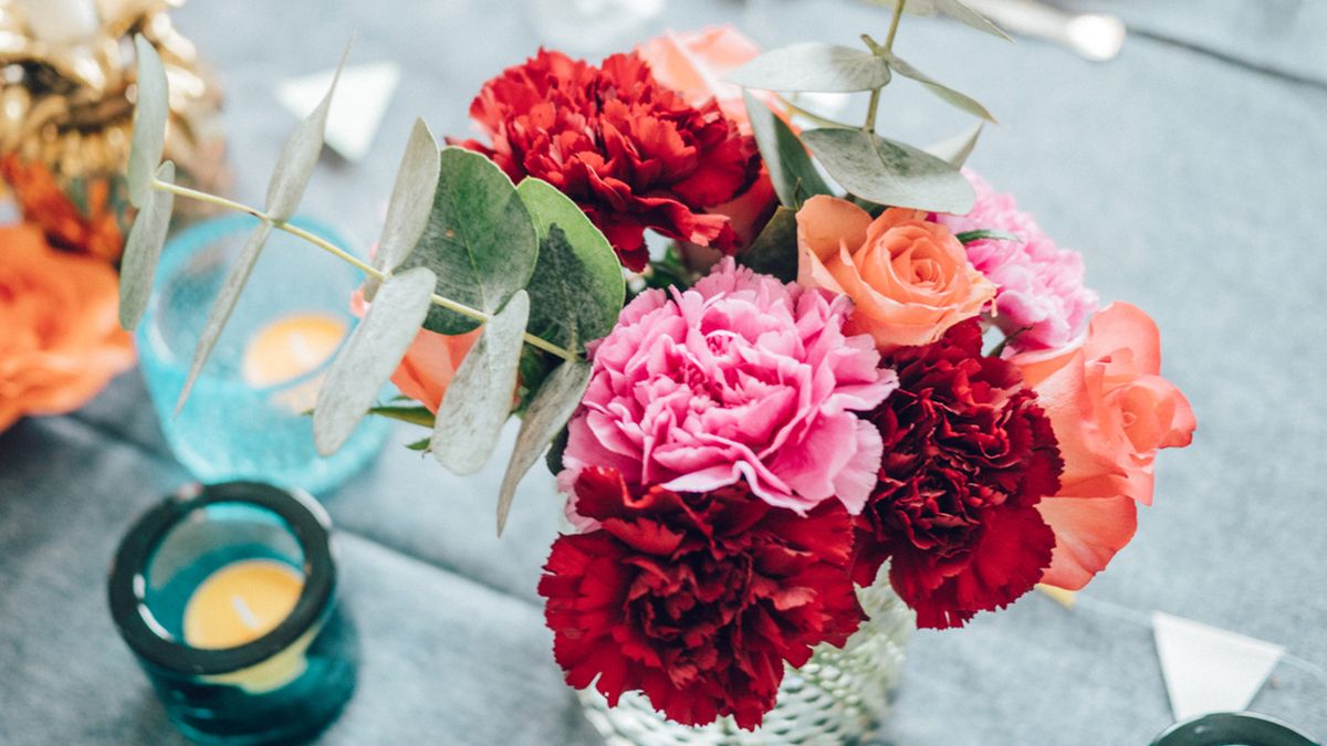 significado claveles en san valentin