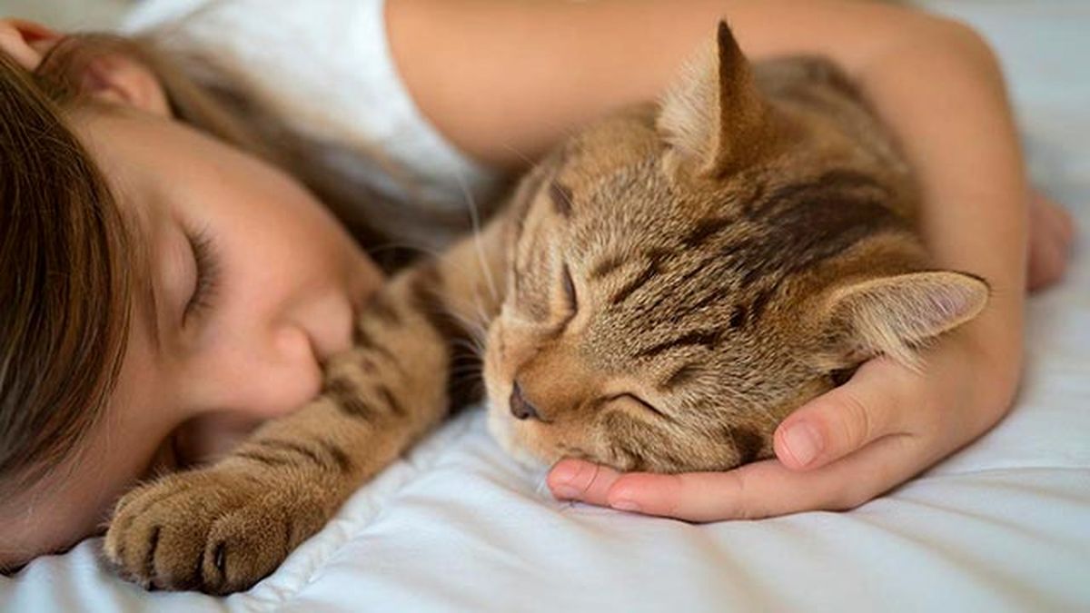 animales reducir asma ninos 4