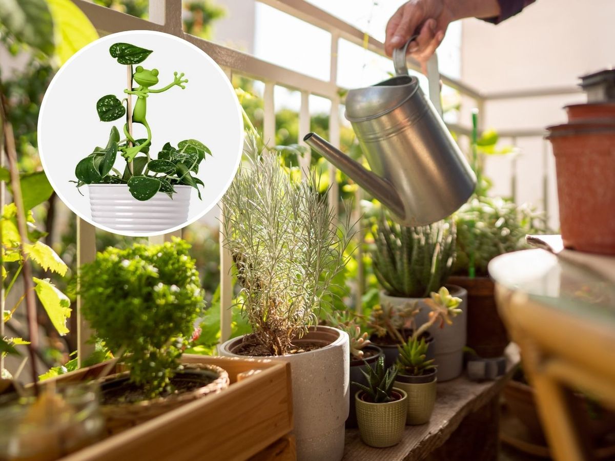 La nueva colección de Flying Tiger para plantas es muy interesante.