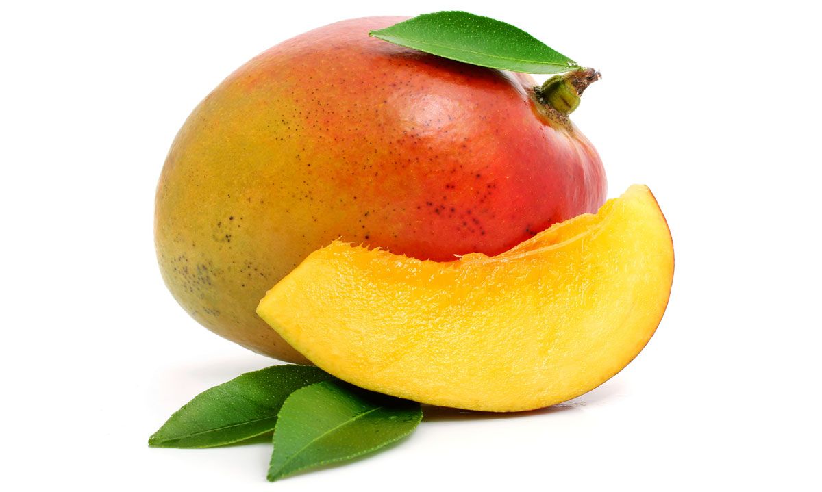 mango xl