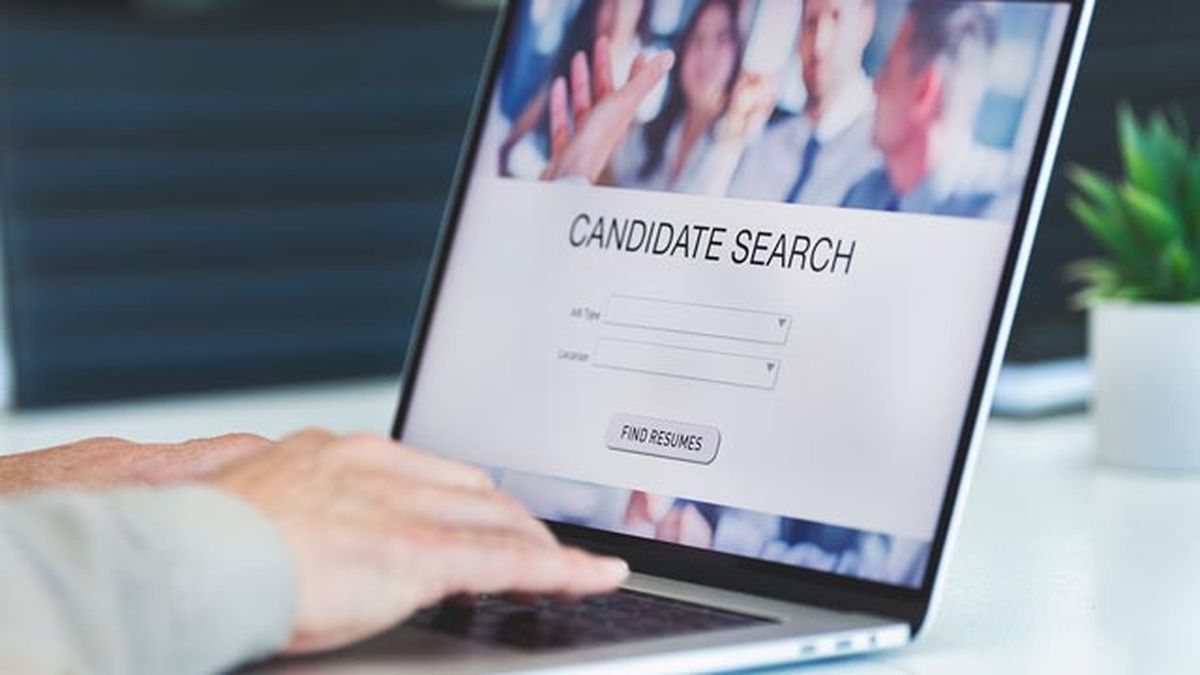 cosas que no deben faltar curriculum vitae segun la universidad de Harvard