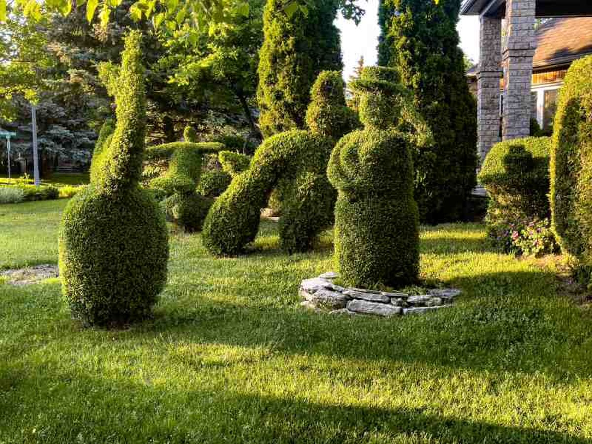 Las formas pueden ser muy diversas