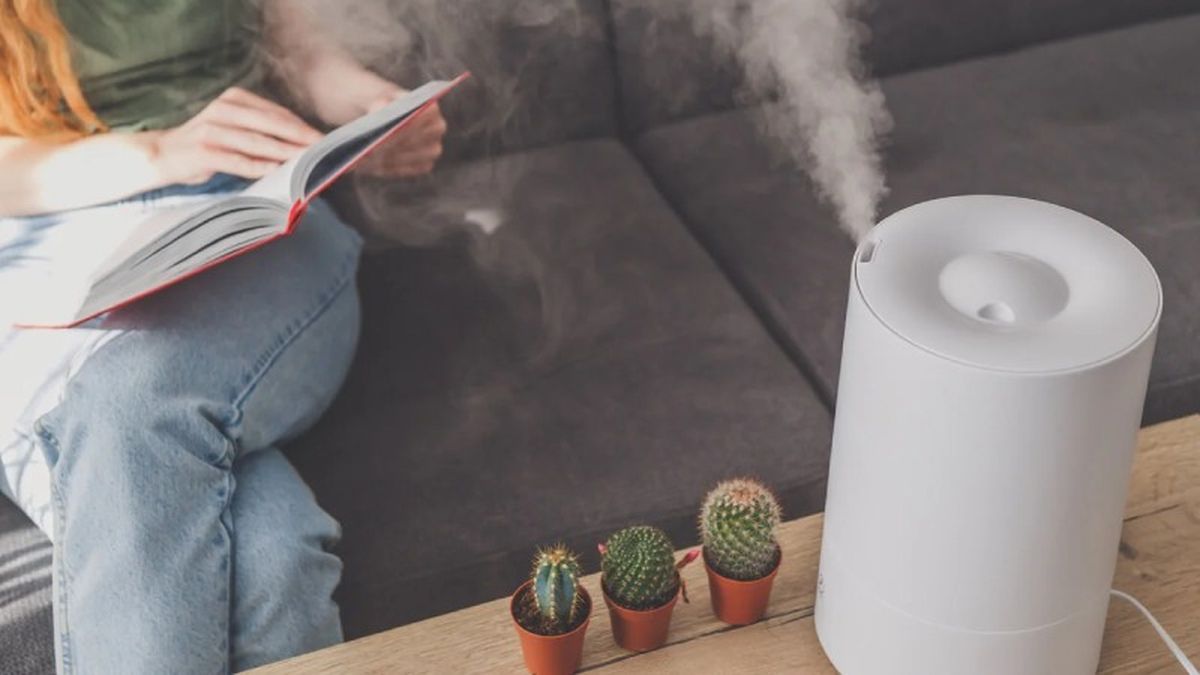 Invierte en ambientador-humidificador.