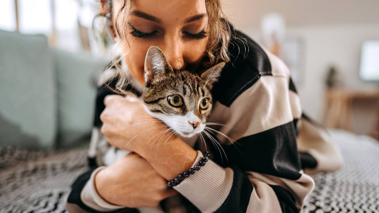 como saber si tu gato te quiere xl