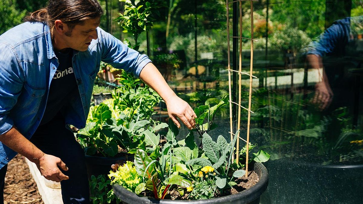 brico 999 huerto urbano terraza balcon xl