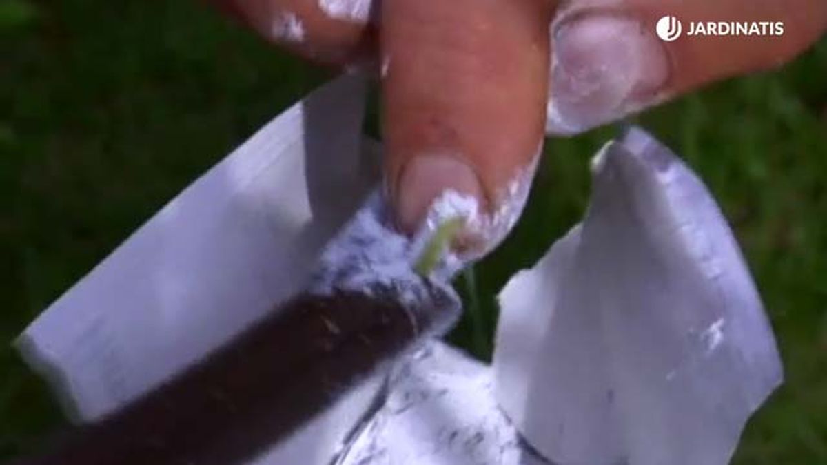 hormona de enraizamiento para acodo aereo brico 750