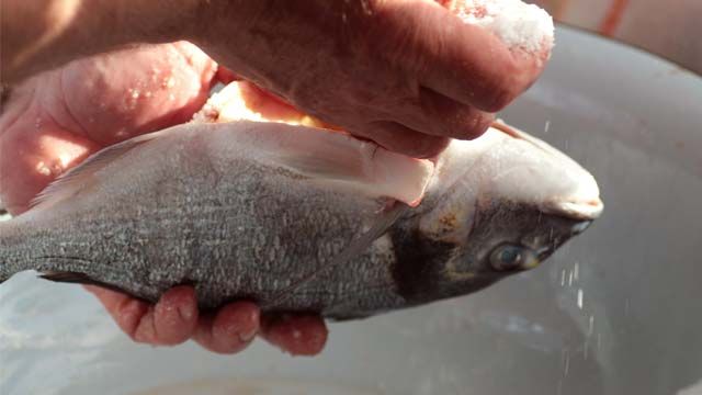 limpiar una dorada