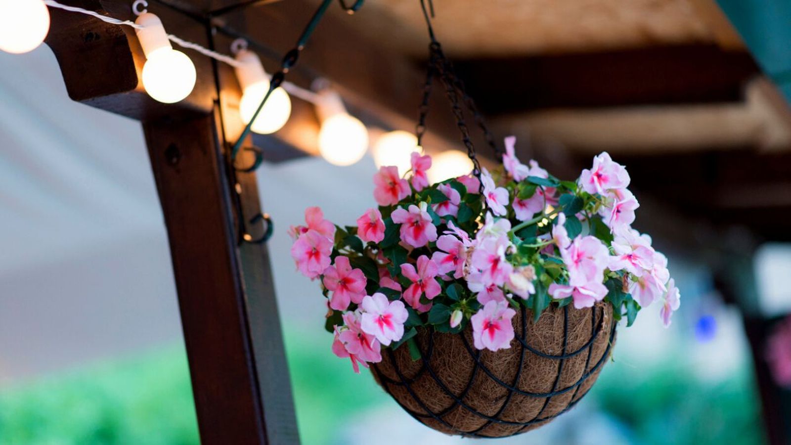 macetas colgantes para la terraza o el balcon
