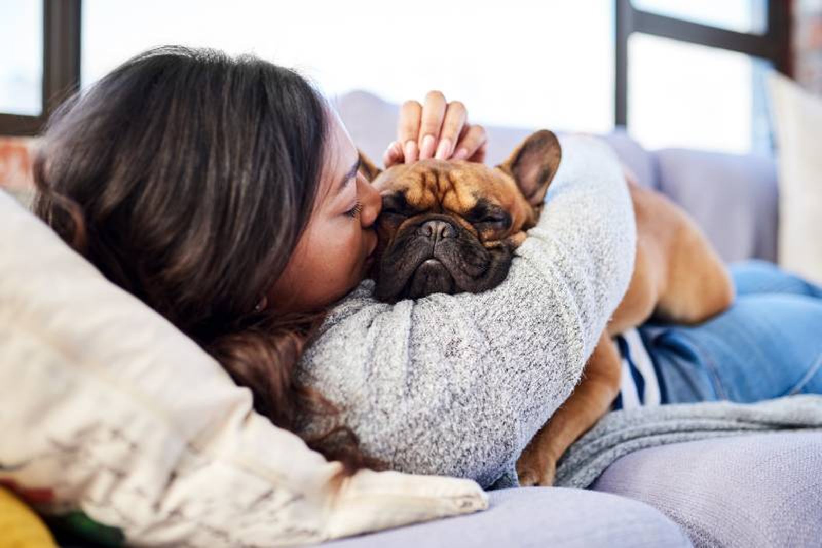 El bulldog francés es un compañero perfecto para quienes quieran un perro cariñoso.