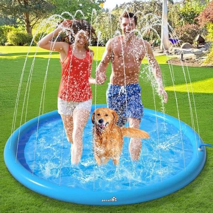Perro y dueños refrescándose en una piscina
