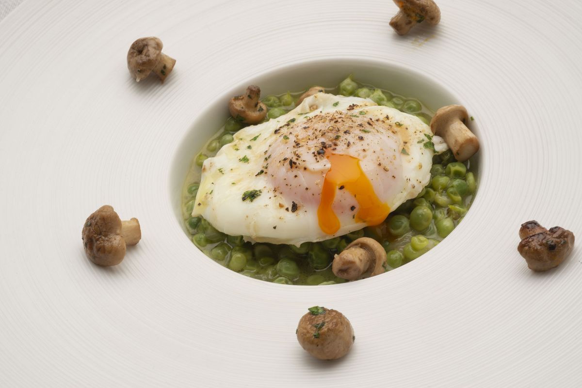 6166 1 Guisantes con huevos y zizas xl