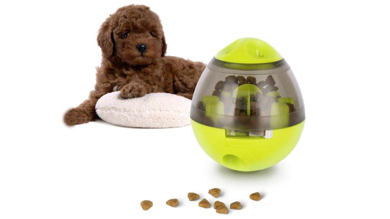 articulos mascotas felices 5 bola dispensadora