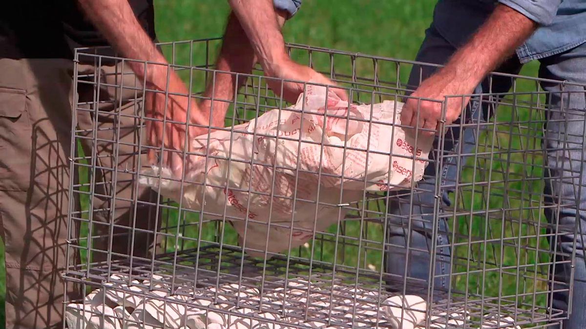 Cómo hacer una barbacoa con gaviones paso 3