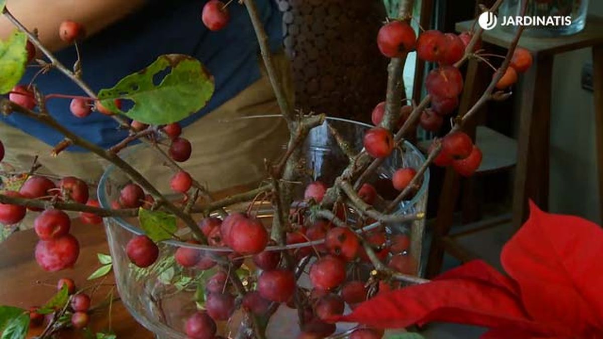 arreglo floral navideno manzano ornamental deco 635 jardinatis