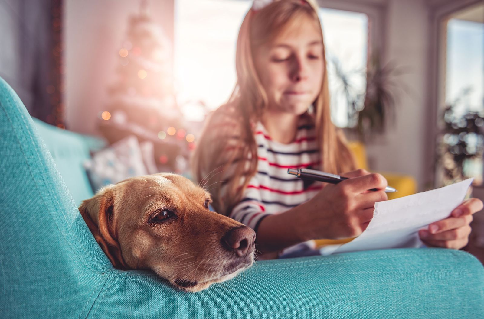 mascotas lista deseos ano nuevo