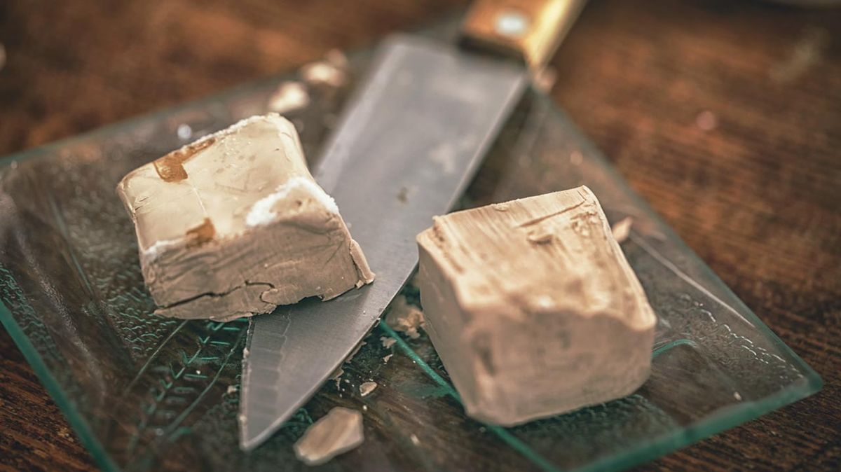 Tipos de levadura y sus usos  levadura fresca