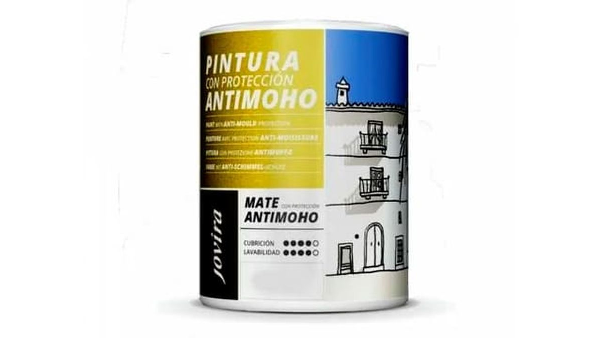 pintura antimoho 1