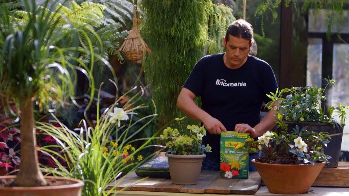 tipos de abono y su uso