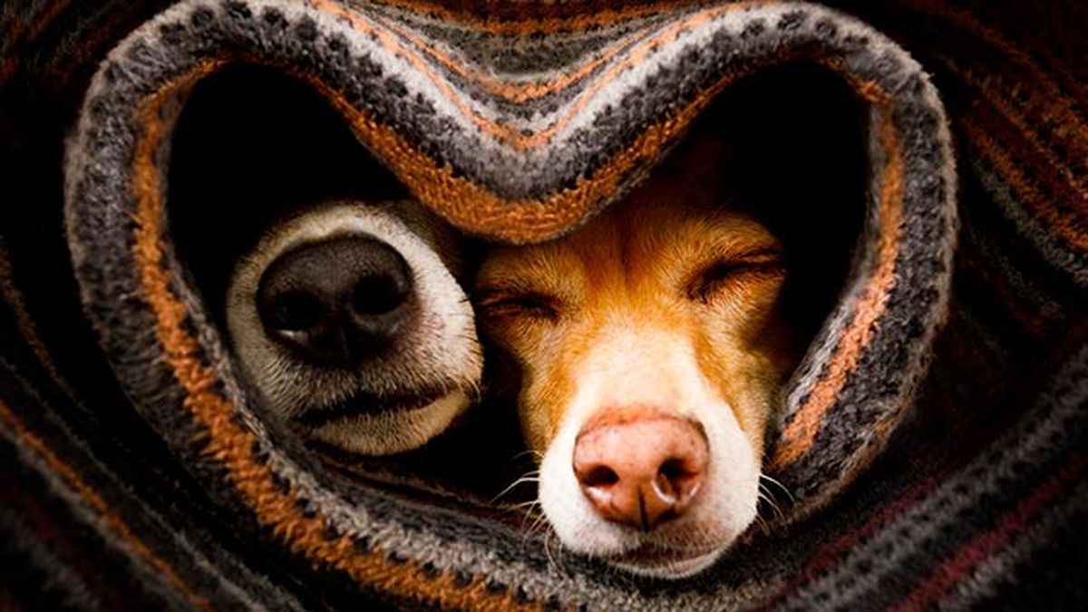 El frío y los cambios de temperatura traen consigo catarros.