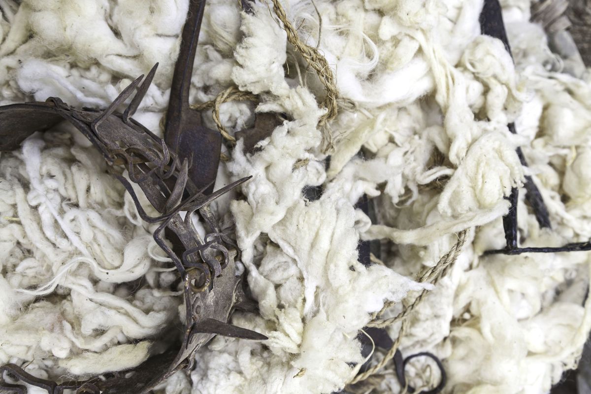 stop moda cruel shearling