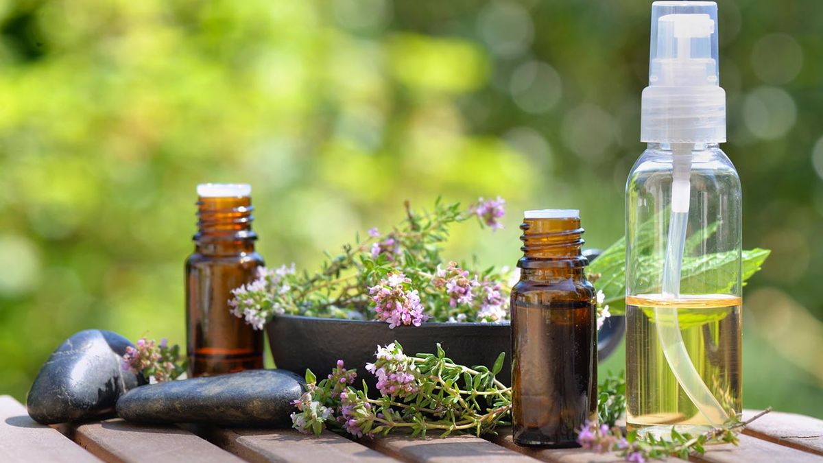 5 trucos contra moscas4