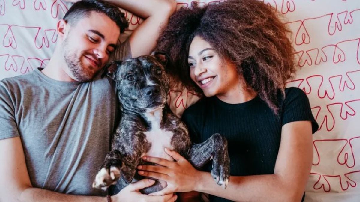 como saber si mi perro me quiere 1