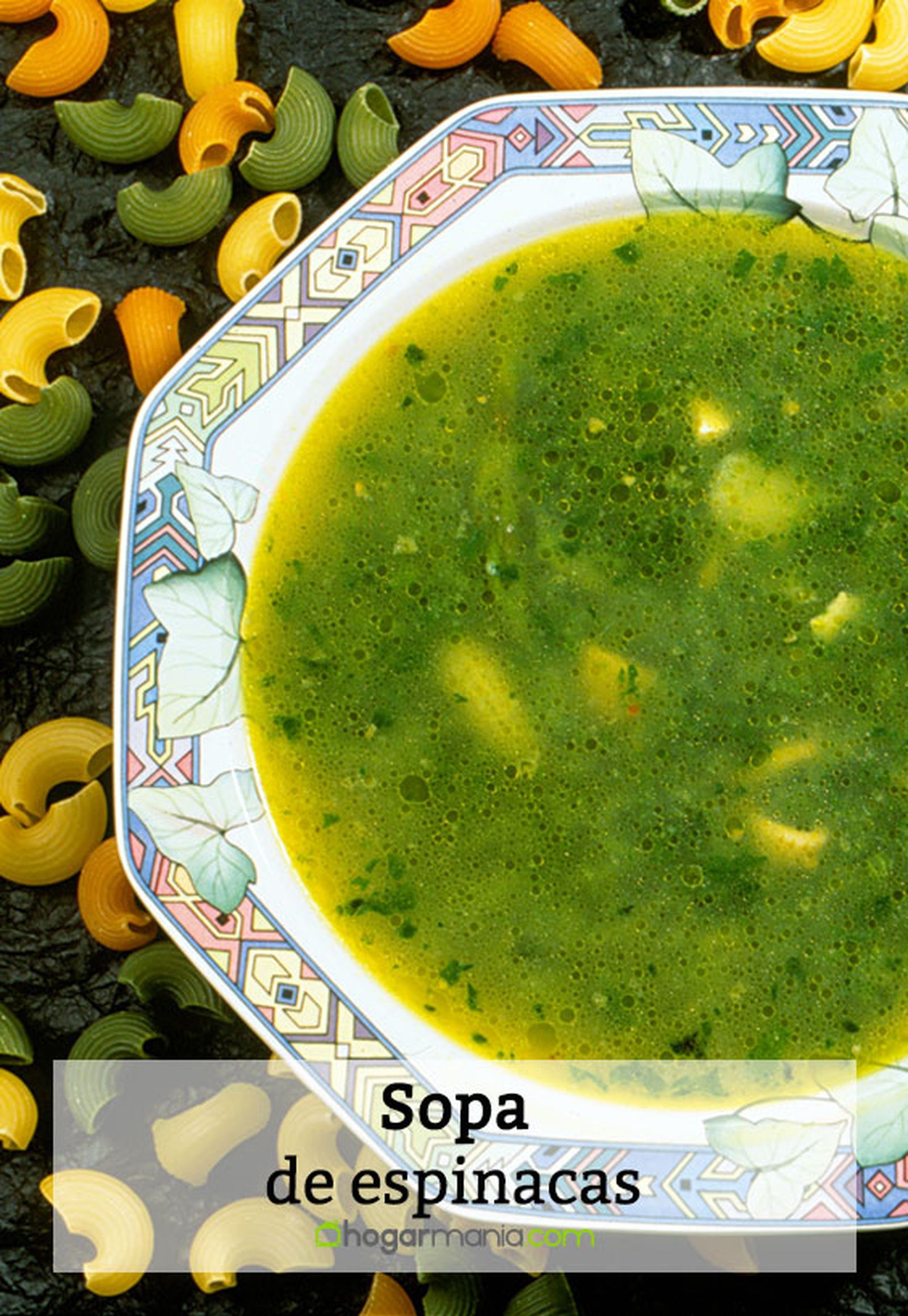 027 1 sopa espinacas pin