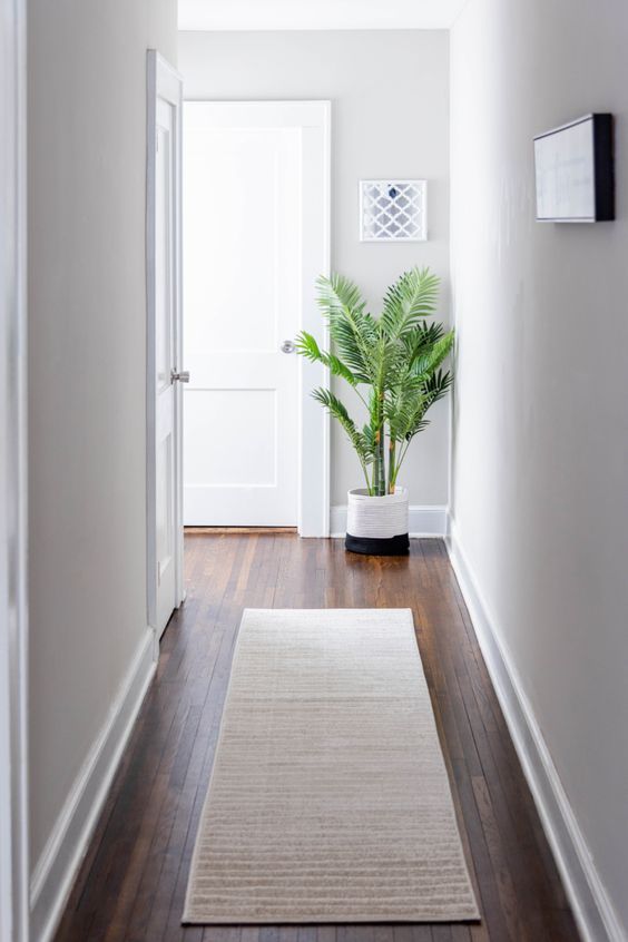 pasillo con encanto con una planta pinterest irugs uk