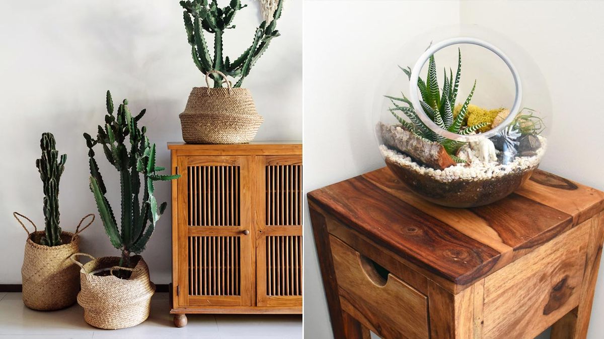 Escoge un regalo según los gustos jardineros de tu persona especial