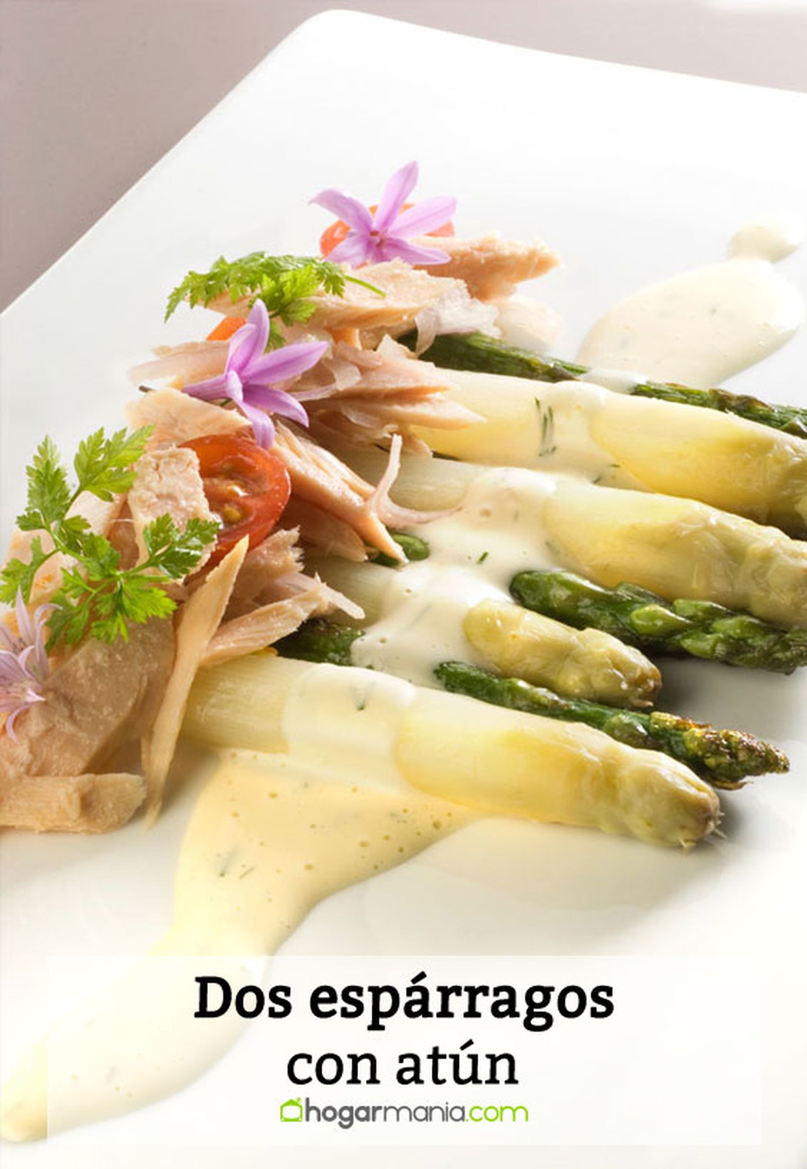 esparragos atun pin