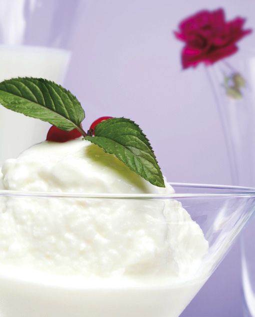 helado yogur xl
