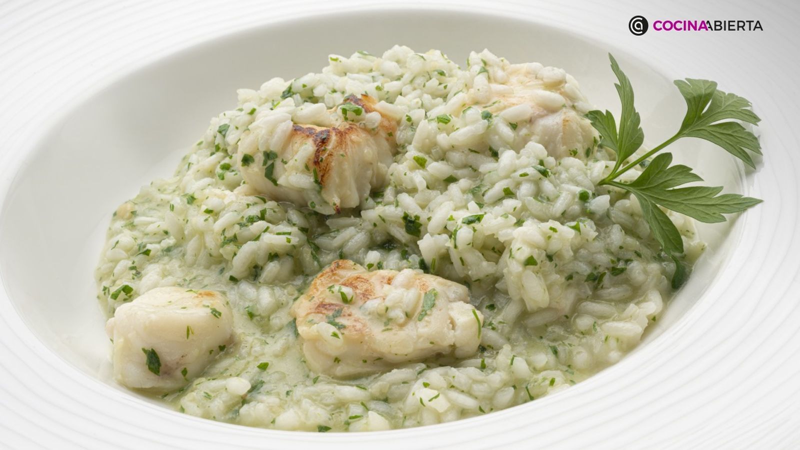 logo color principal